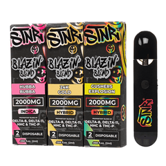 STNR Blazin Blend Disposable 2G (Single)