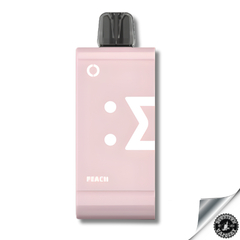 Elf Bar EW18000 Prefilled Pods 5% Peach