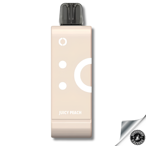 Elf Bar EW9000 Prefilled Pods 5% Peach Downtown Vapoury