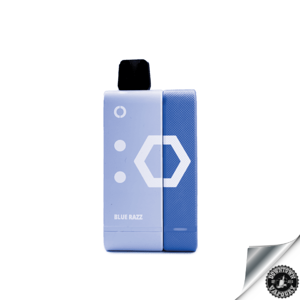 Elf Bar EW9000 Rechargeable Pod Kit 5% Blue Razz