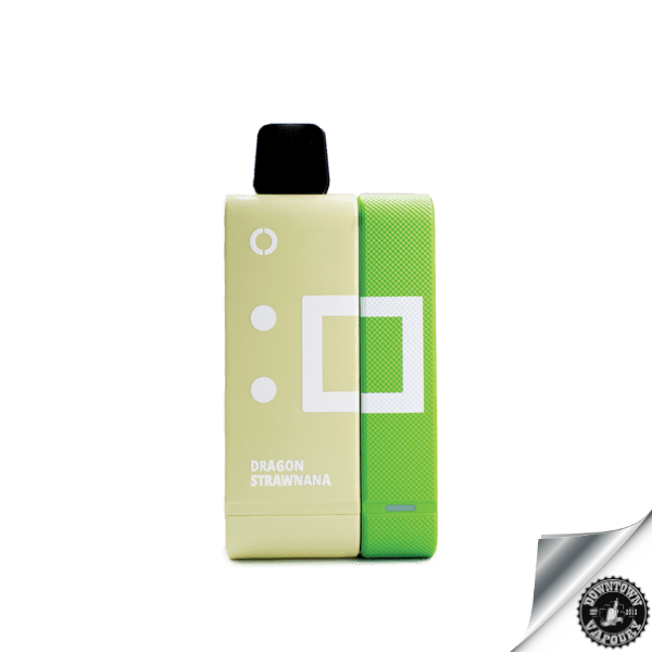 Elf Bar EW9000 Rechargeable Pod Kit 5% Dragon Strawnana