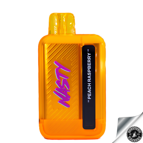 Nasty Disposable Rechargeable Bar 9000 puff 5% Peach Raspberry Downtown Vapoury