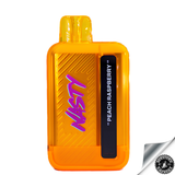 Nasty Disposable Rechargeable Bar 9000 puff 5% Peach Raspberry Downtown Vapoury