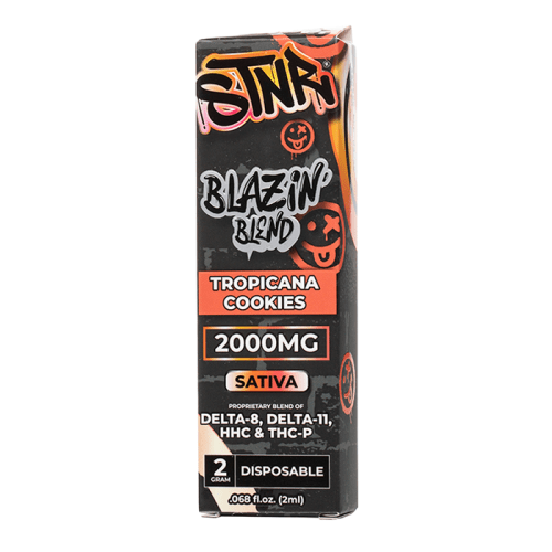 STNR Blazin Blend Disposable 2G (Single)
