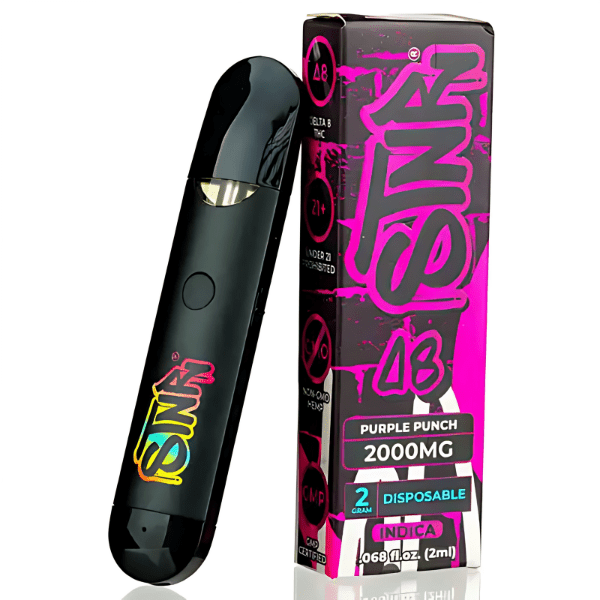 STNR delta-8 Disposable 2G (Single) Purple Punch Indica Downtown Vapoury