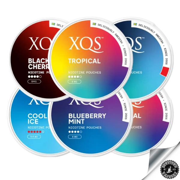 XQS Nicotine Pouches (1pc) Downtown Vapoury