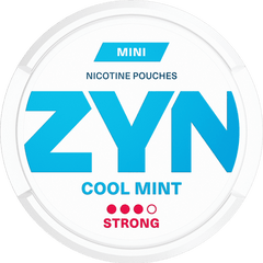 Zyn Cool Mint Mini Nicotine Pouches (1pc) 6mg